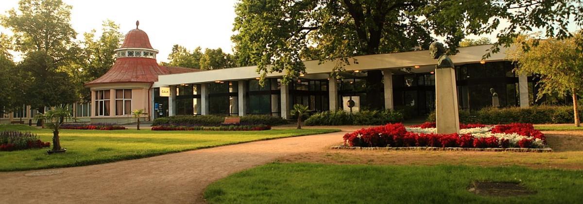 Apartma V Srdci Podebrad Poděbrady Εξωτερικό φωτογραφία