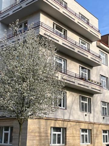 Apartma V Srdci Podebrad Poděbrady Εξωτερικό φωτογραφία